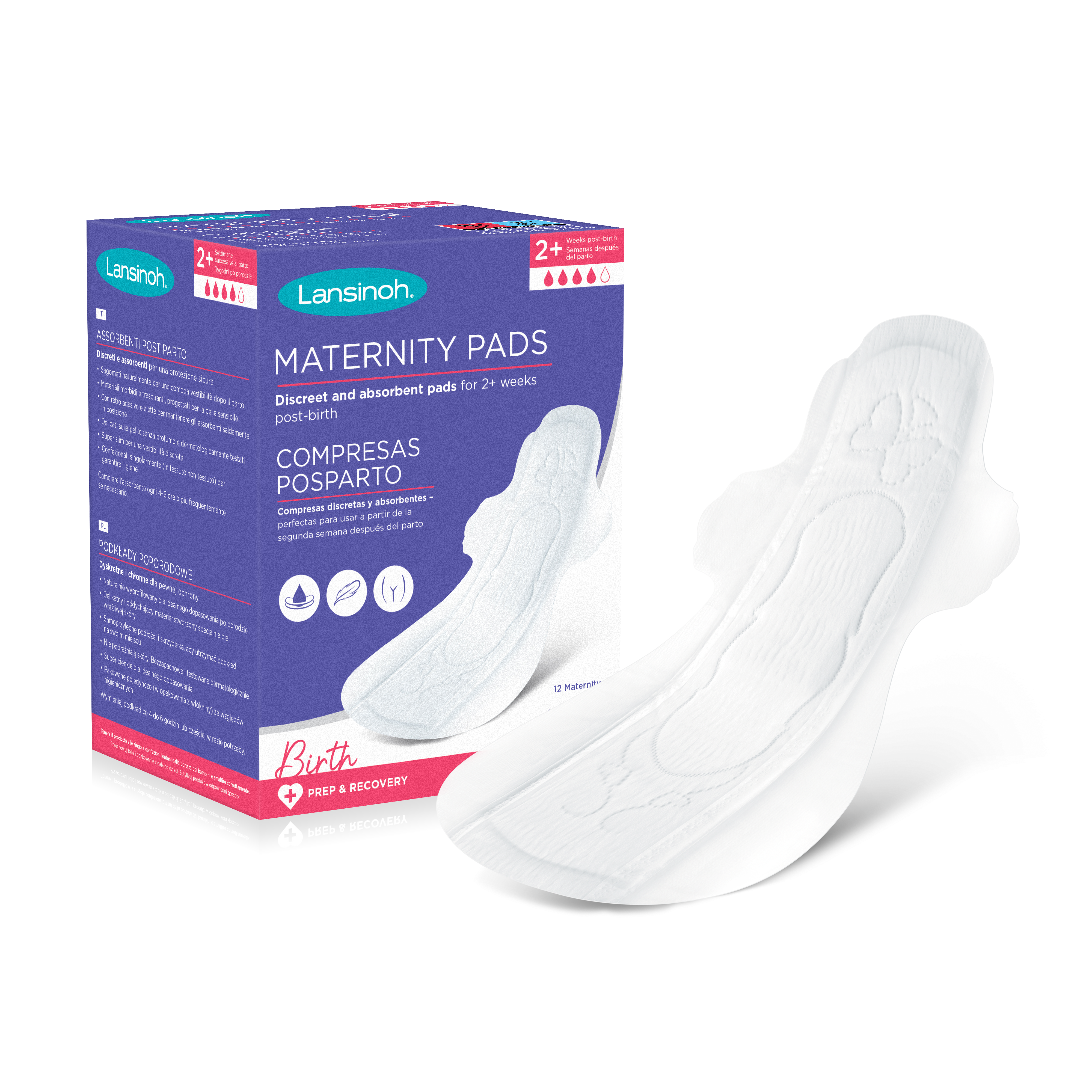 Discreet & Absorbent Maternity Pads 2+
