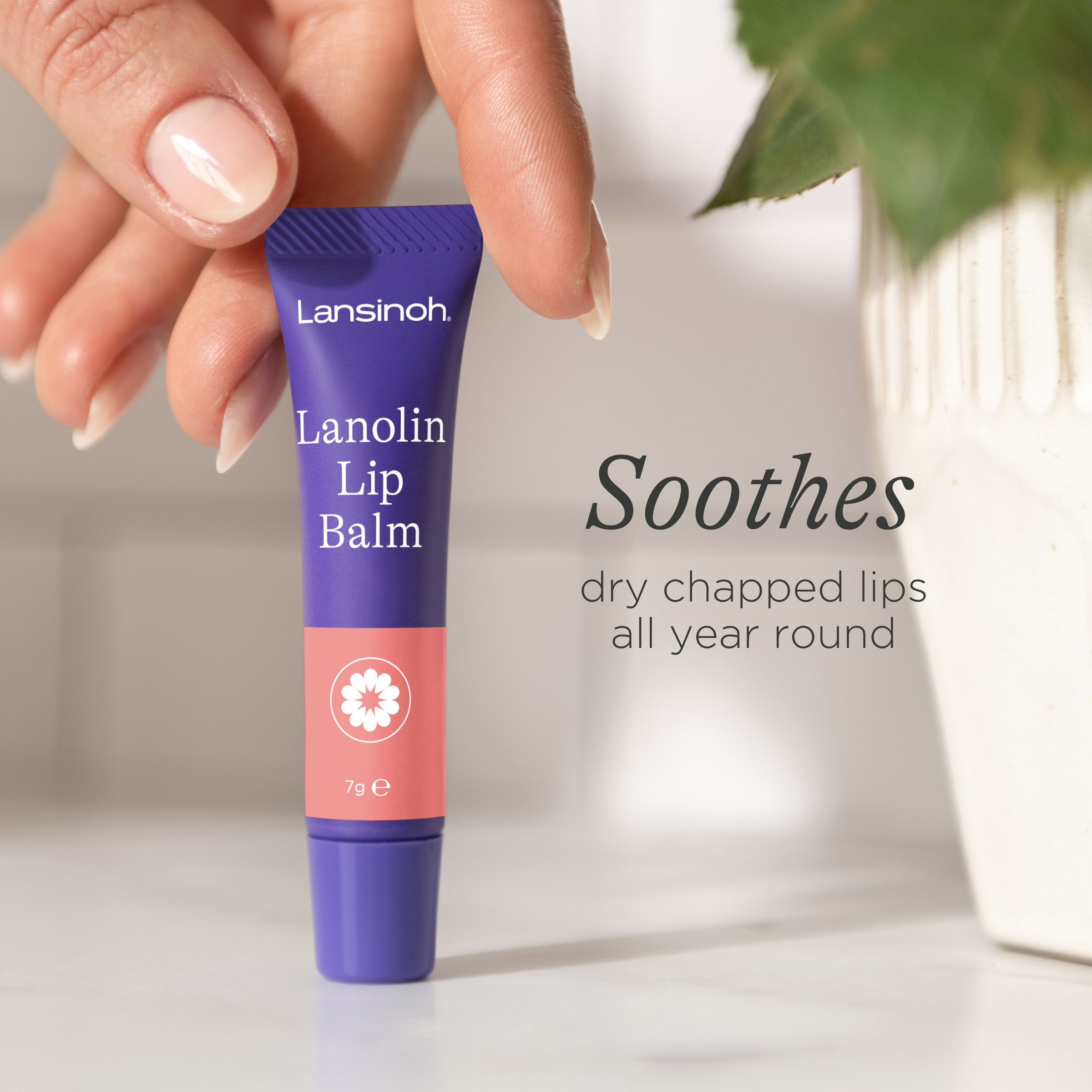 Lanolin Lip Balm