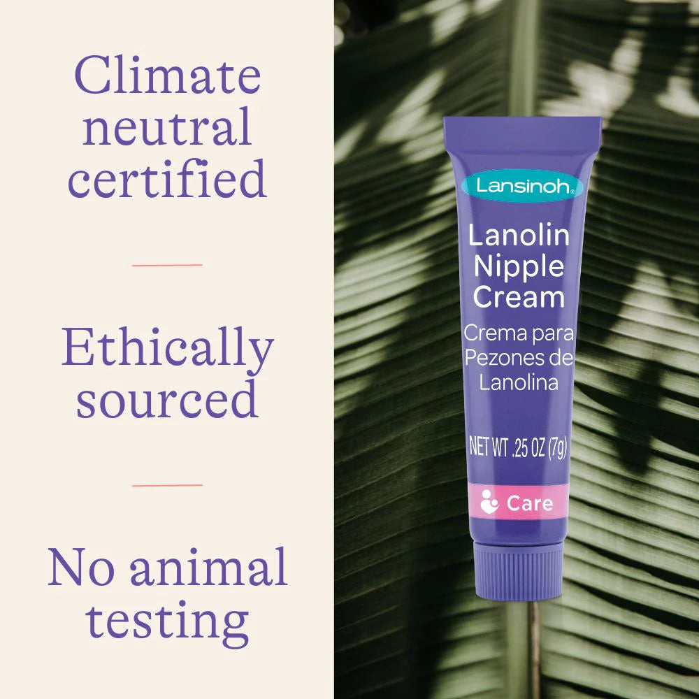 lanolin nipple cream